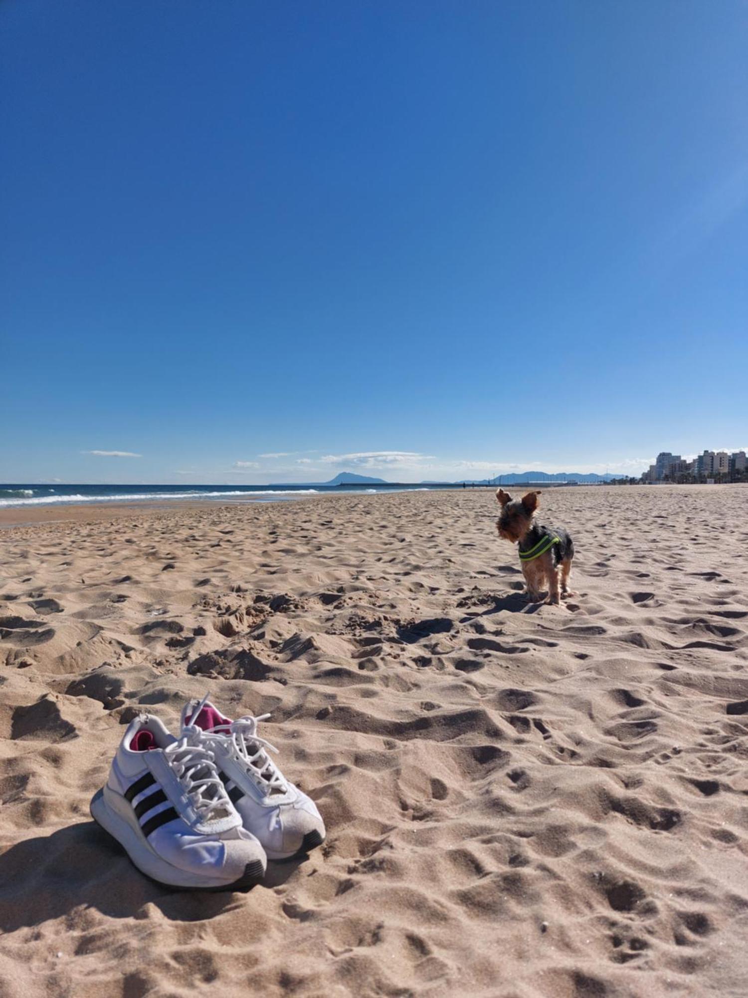 Precioso Apartamento En Gandia Playa de Gandia 외부 사진